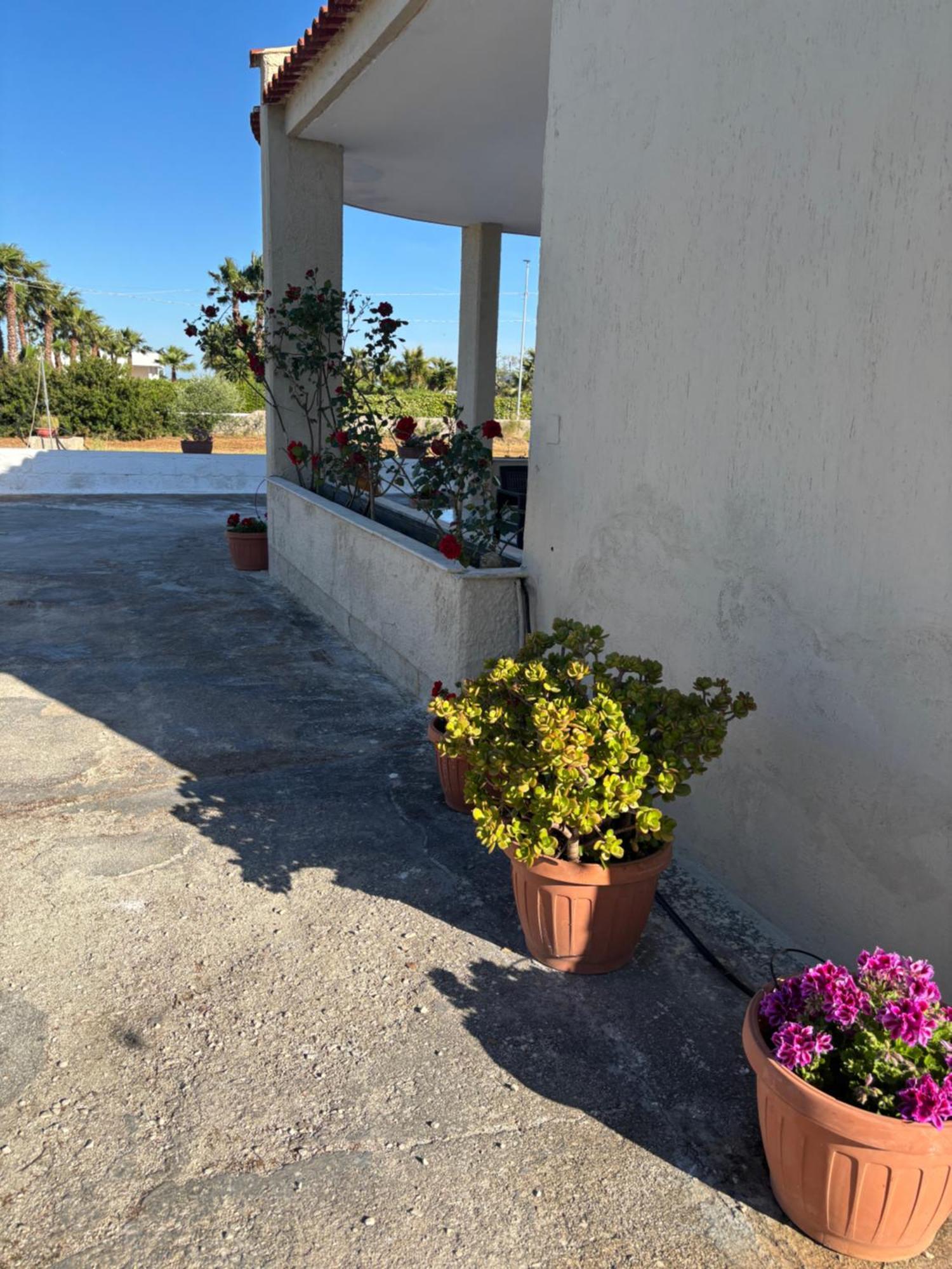 Lilly'S House Villa Torre Santa Sabina Kültér fotó