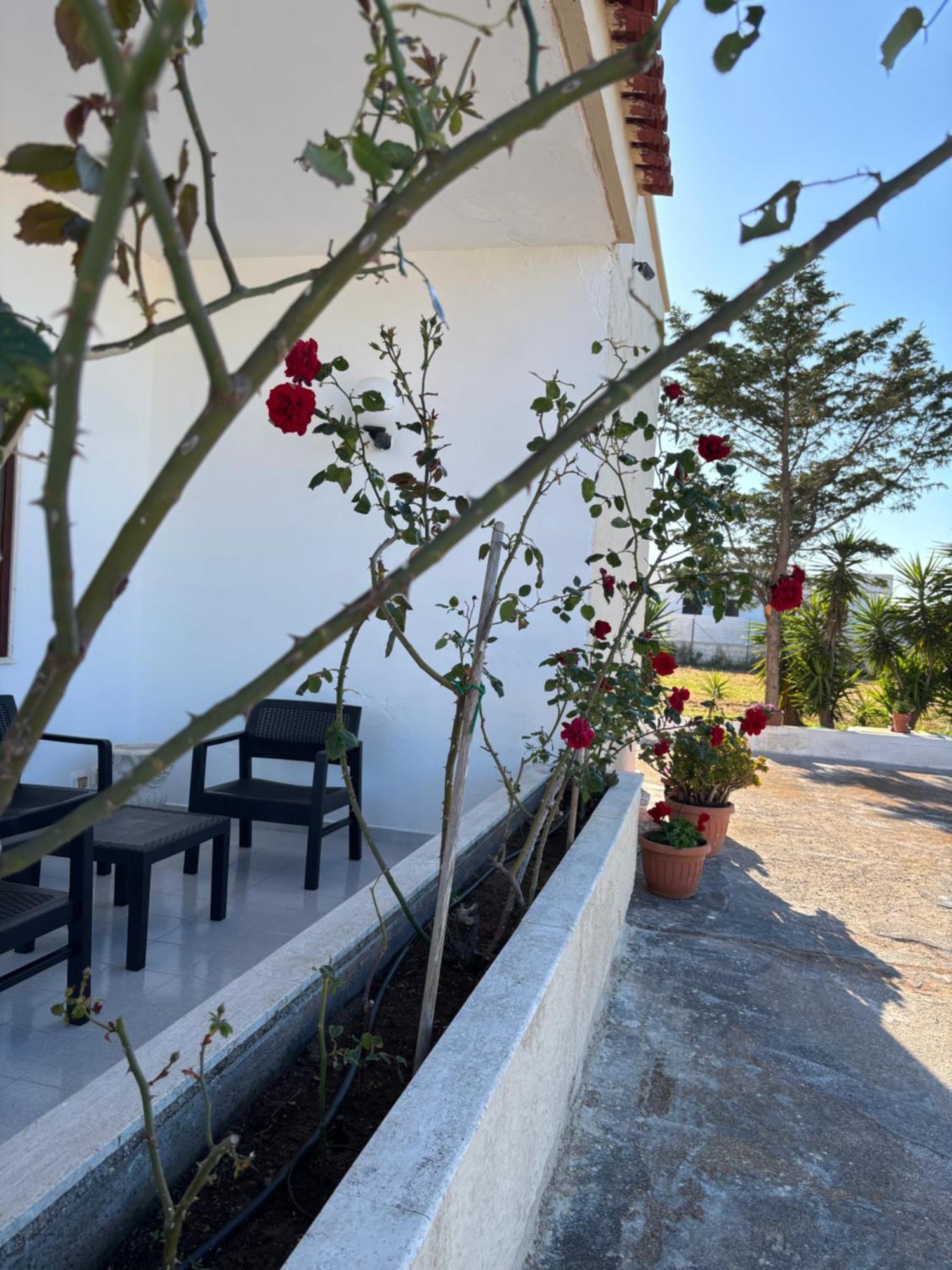 Lilly'S House Villa Torre Santa Sabina Kültér fotó
