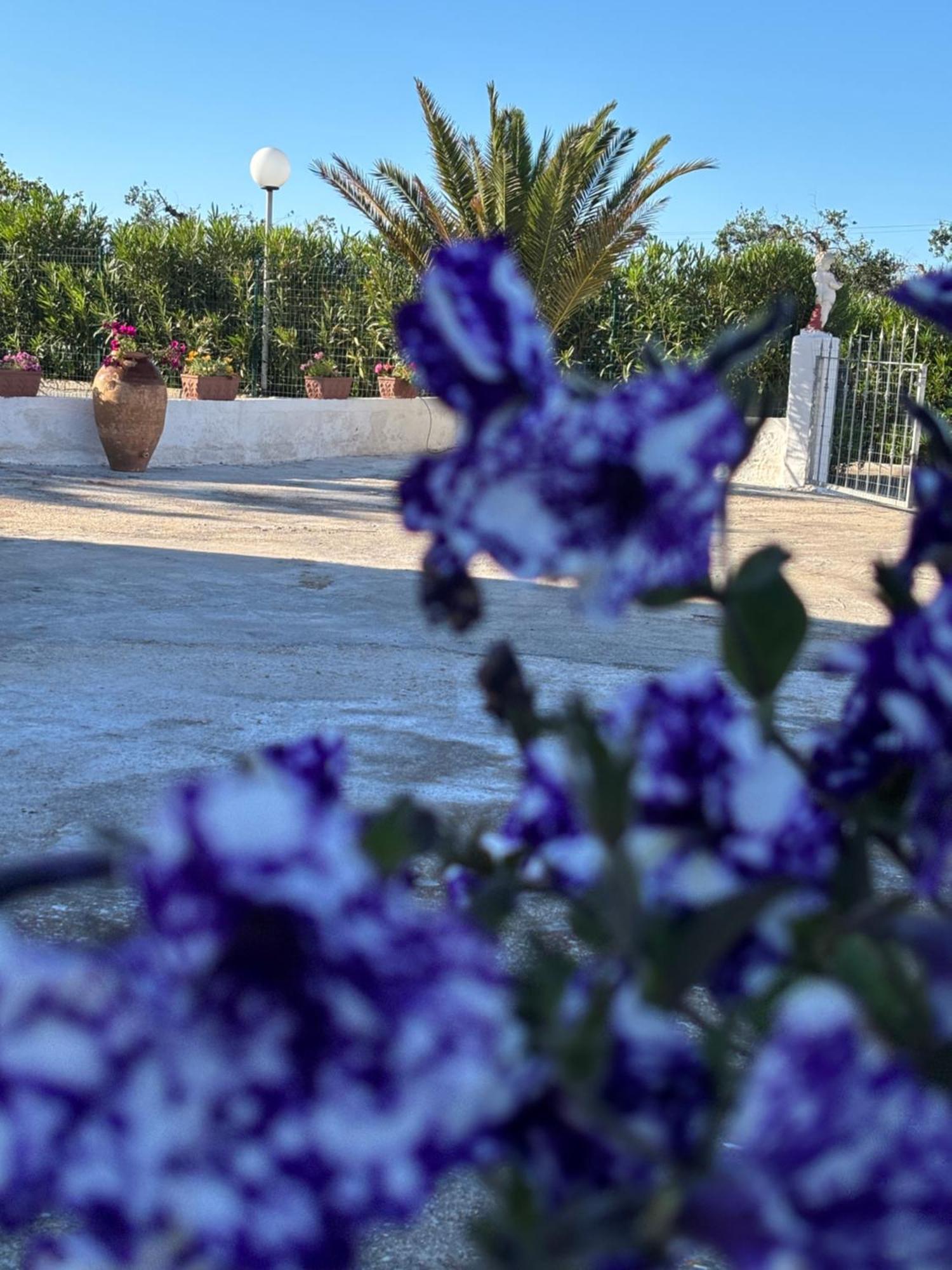 Lilly'S House Villa Torre Santa Sabina Kültér fotó